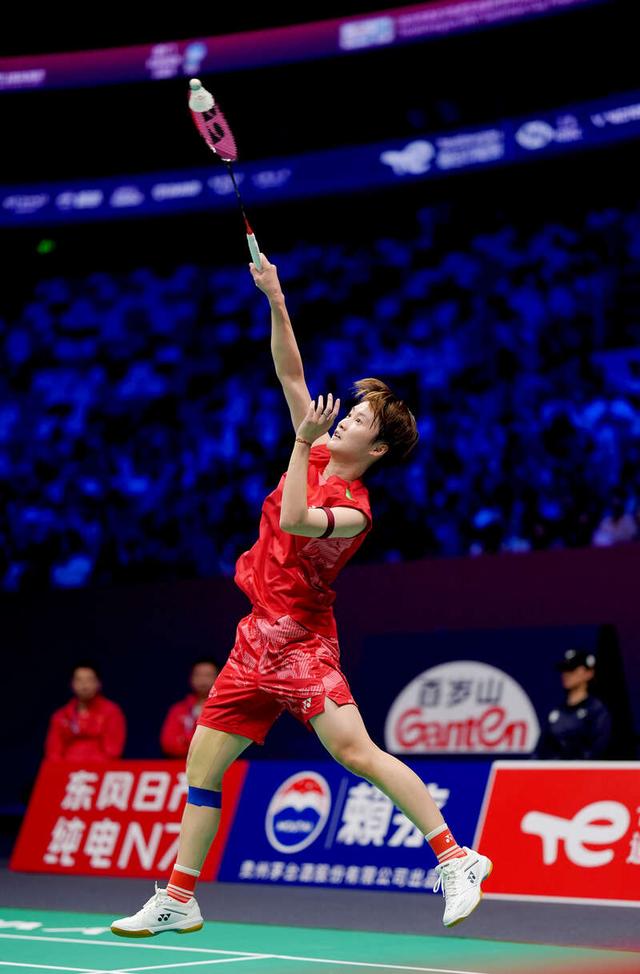 爱游戏APP-德国队碾压马来西亚队，陈雨菲统治全场