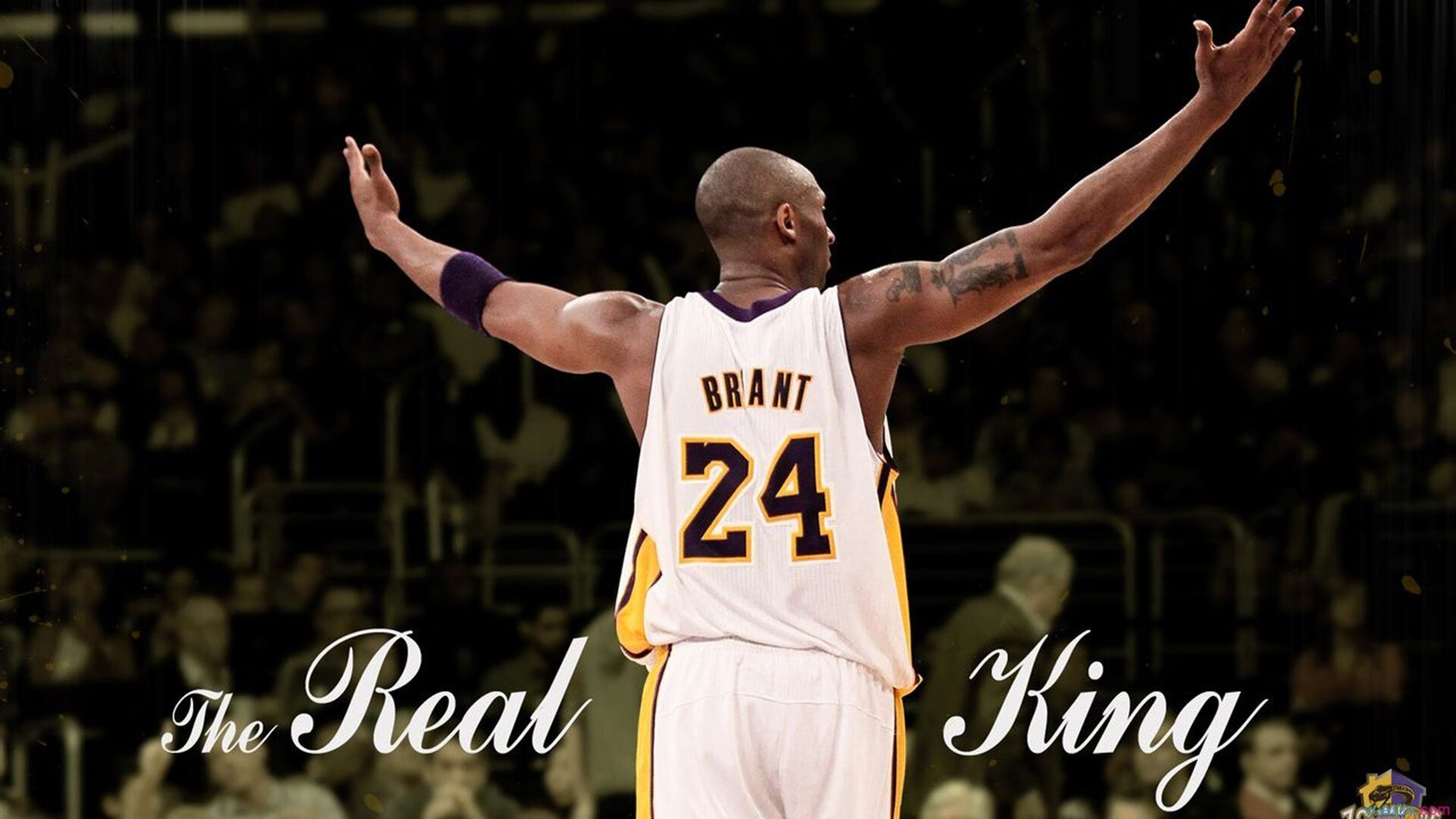 约基奇点燃赛场，当丹佛高原的雪水浇灌北京首钢的钢铁丛林